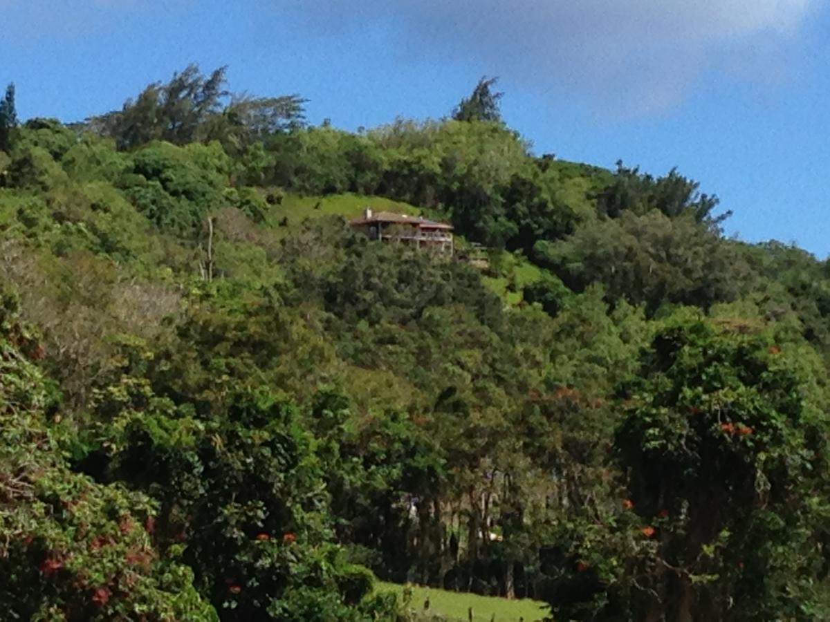 Marjorie'S Kauai Inn Lawai Extérieur photo